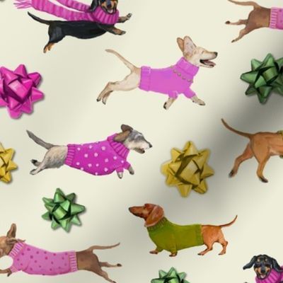 Doxies and Bows