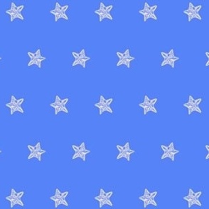 Starfish Americana Blue Starfish Pattern