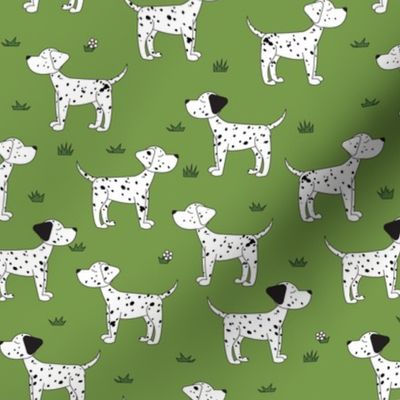 Dalmatian Dog Park- Small Print