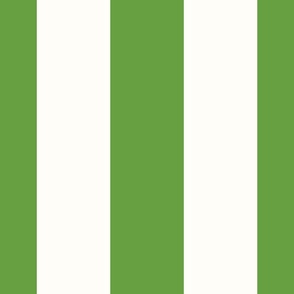 Bright Green Wide 6in Circus Stripe