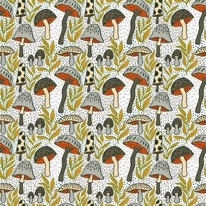 S - Mushrooms - Red, Orange, Grey, Brown with White Background