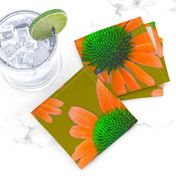 Orange and Green Flowers on Green  Background - Orange Floral Photography