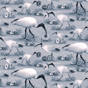 Funny Flock of Birds, Strange Amusing Quirky Donut Loving Chooks, Black White Plumage Sacred Ibis, Bizarre Cake Eating Animals, Pop Culture Icon, Australian Bin Chickens on Textured Background