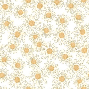 Western daisy in harvest gold and white. Large scale 
