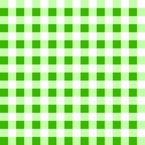 1” Lime Green Gingham Check