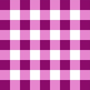 Jumbo 2” Raspberry Gingham Check