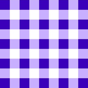 Jumbo 2” Bright Purple Gingham Check