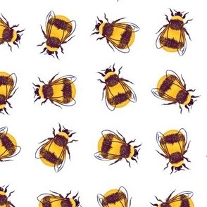 Bumblebee Dance