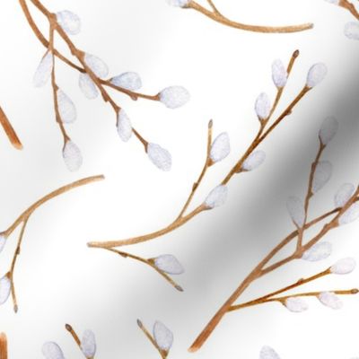 Watercolor pussy willow branches on white background - Medium scale