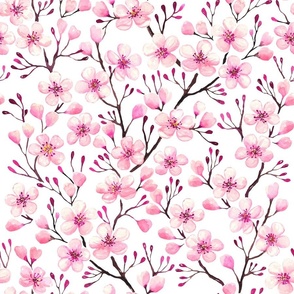 pink cherry blossom,  spring blossom, sakura blossom large scale white WB24