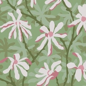 White & Pink Magnolias on sage background: Modern Floral Delight