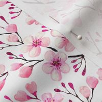 pink cherry blossom,  spring blossom, sakura blossom medium scale white WB24