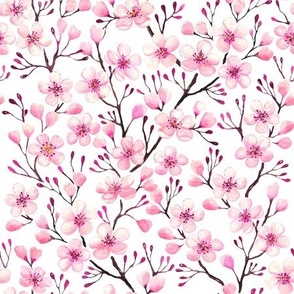 pink cherry blossom,  spring blossom, sakura blossom medium scale white WB24