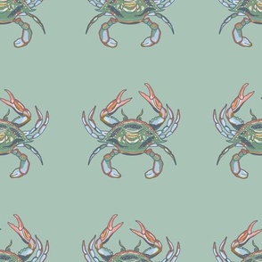 Blue Crab Bed on Sea Foam Green