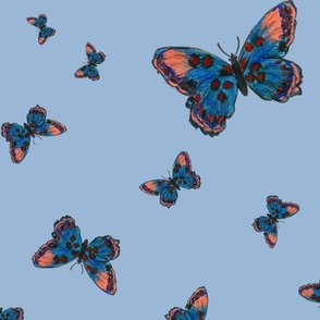 Butterflies (blue)