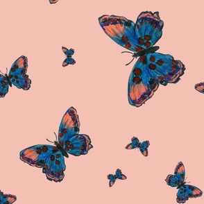 Butterflies (blue peach)