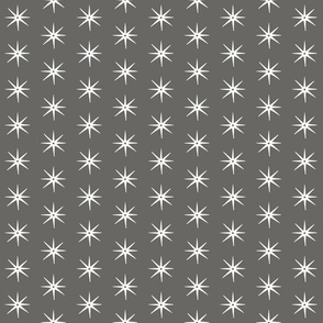 White Stars on Kendall Charcoal