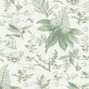 Botanical Floral Print