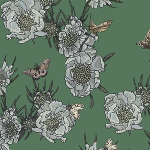 white peonies with moths - green