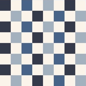 Summer Blues Checker {on Off White} Multi Color Checks