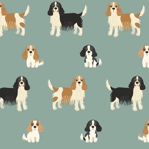 cavalier king charles spaniel on green