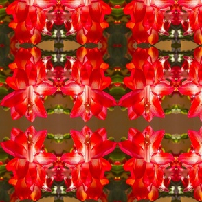 Christmas Cactus (large vertical design)