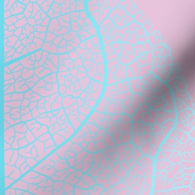 (L) Leaf nerves gradient light blue and pink - large