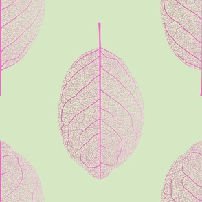 (L) Leaf nerves gradient pink and light green - large