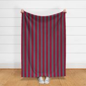 Collegiate Washington State Cougars inspired Stripe- large scale
