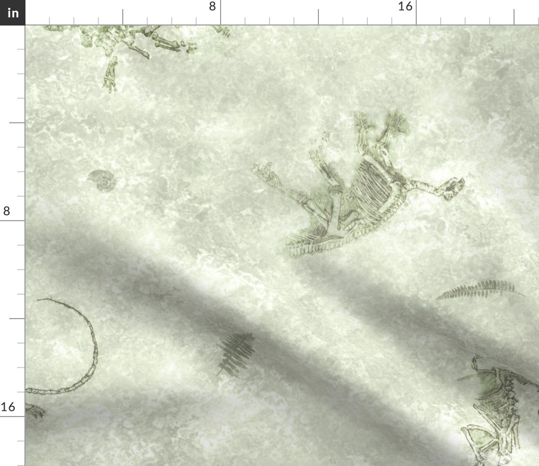Lichen, Textured & Tonal Dinosaur Fossils