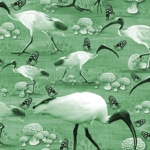 Flock of Green Birds, Painterly Iconic Urban Wildlife, Red Cap Magical Mushrooms, Whimsical Butterflies Toile, Odd Australian Birds, Fun Fungi Landscape, LARGE SCALE