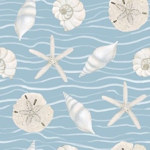 Hand Drawn Watercolor White Sea Shells and Starfish on Light Grey Blue, L