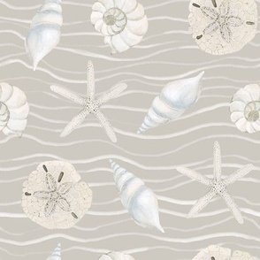 Hand Drawn Watercolor White Sea Shells and Starfish on Light Grey, L
