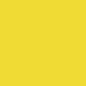 Groovy Floral Citron Solid
