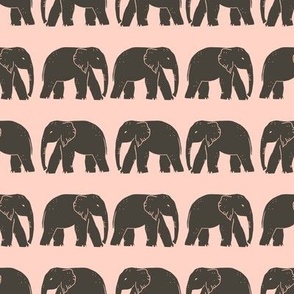 Elephants walking on pink