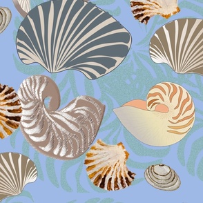 Sea Shells Blue L Wallpaper