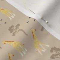 African Savanna Giraffes in Taupe