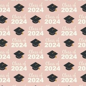 (small scale) Class of 2024 - pink - LAD24