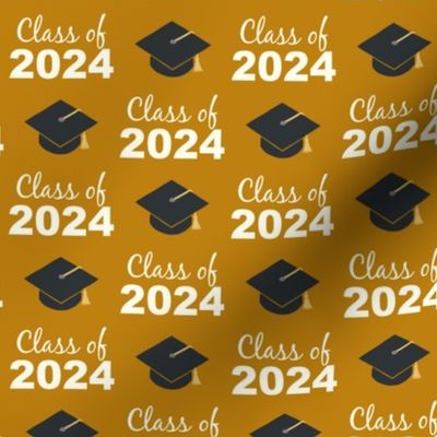 Class of 2024 - gold - LAD24