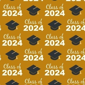 Class of 2024 - gold - LAD24