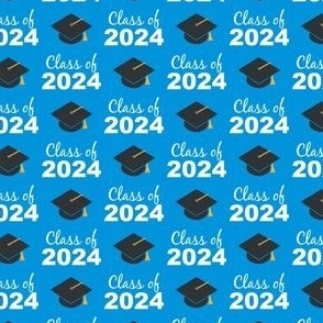 (small scale) Class of 2024 - blue - LAD24