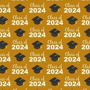 (small scale) Class of 2024 - gold - LAD24