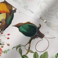 Medium - Vintage Birds of Paradise in the Nostalgic Tropical Flower Greenery Jungle - off white