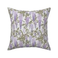 wisteria violet grey japanese50