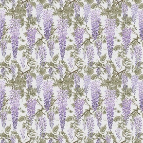 wisteria violet grey japanese50