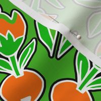 Folk Art Tulips and Radishes Hexagon in Green and Orange