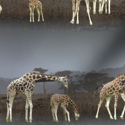 Giraffes on the Savannah