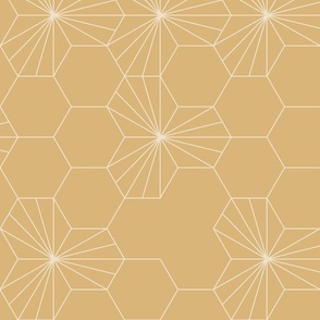 (L) Geometric flowers in a honeycomb -  honey