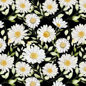 Daisies in Black Background