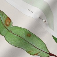 Gum Leaf Jigsaw - Natural
